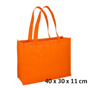 Eco Horizontal Bag