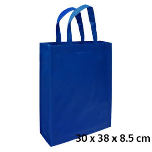 Eco Conference Bag